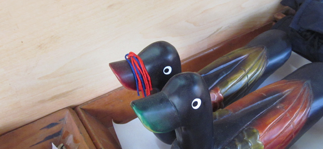 ���ͳݱ���Ǯ��