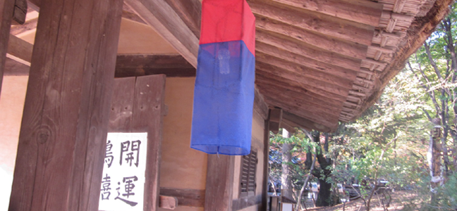 �̸�����Ǯ��