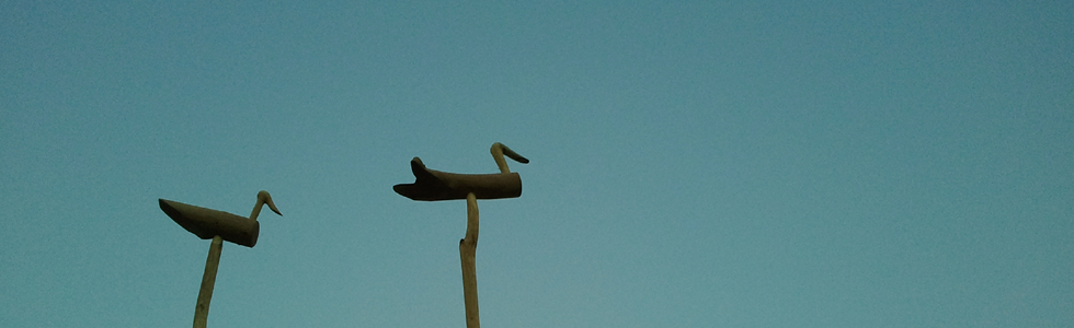 »ý³â¿ùÀϱÃÇÕÇ®ÀÌ